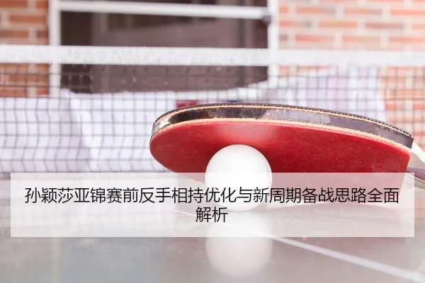 孙颖莎亚锦赛前反手相持优化与新周期备战思路全面解析
